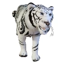 automates-tigre-sibérie-animal-sauvage-félin2.webp