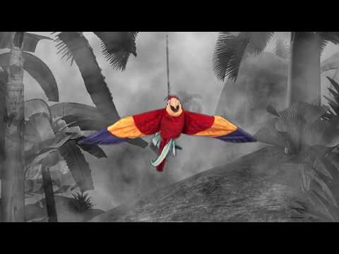 youtube - [Video]