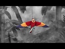 youtube - [Video]