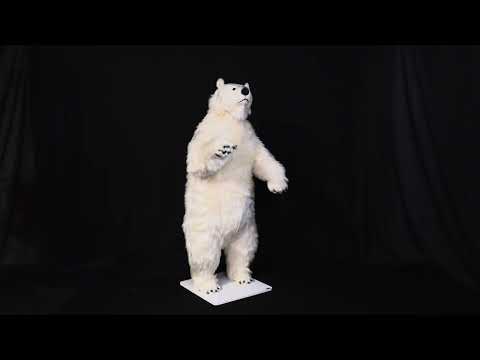 youtube - [Video]