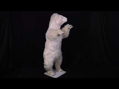 youtube - [Video]