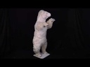 youtube - [Video]