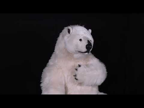 youtube - [Video]