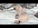 youtube - [Video]