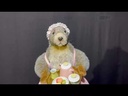 youtube - [Video]