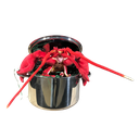 The Escape of Master Lobster