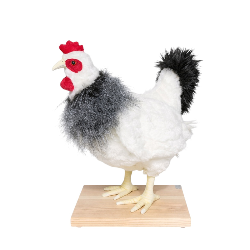 [26816] WHITE HEN