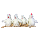 QUATRE POULES