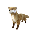 STANDING RED FOX