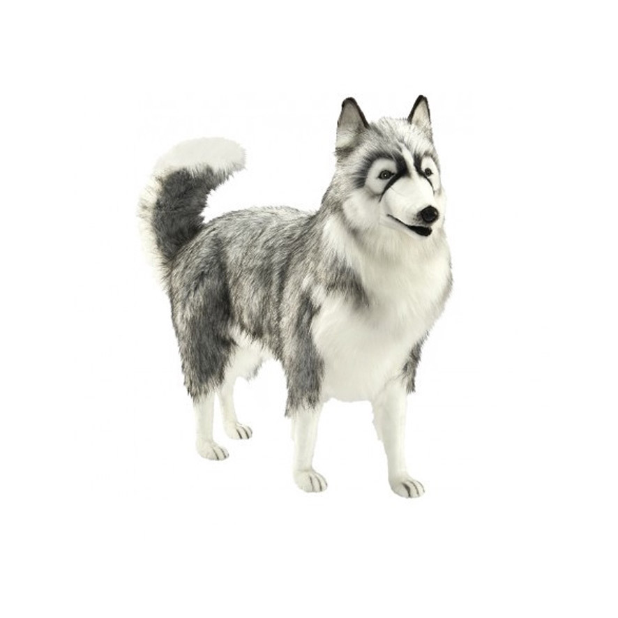 [23198] HUSKY