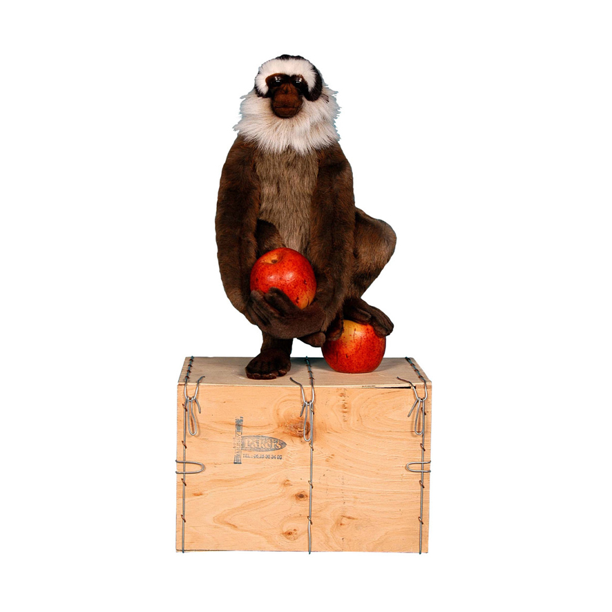 SINGE DEBOUT POMME