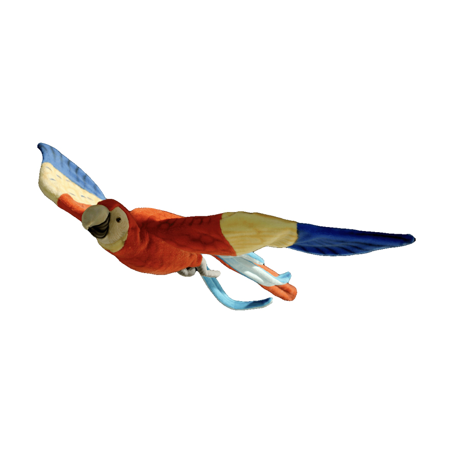 RED PARROT