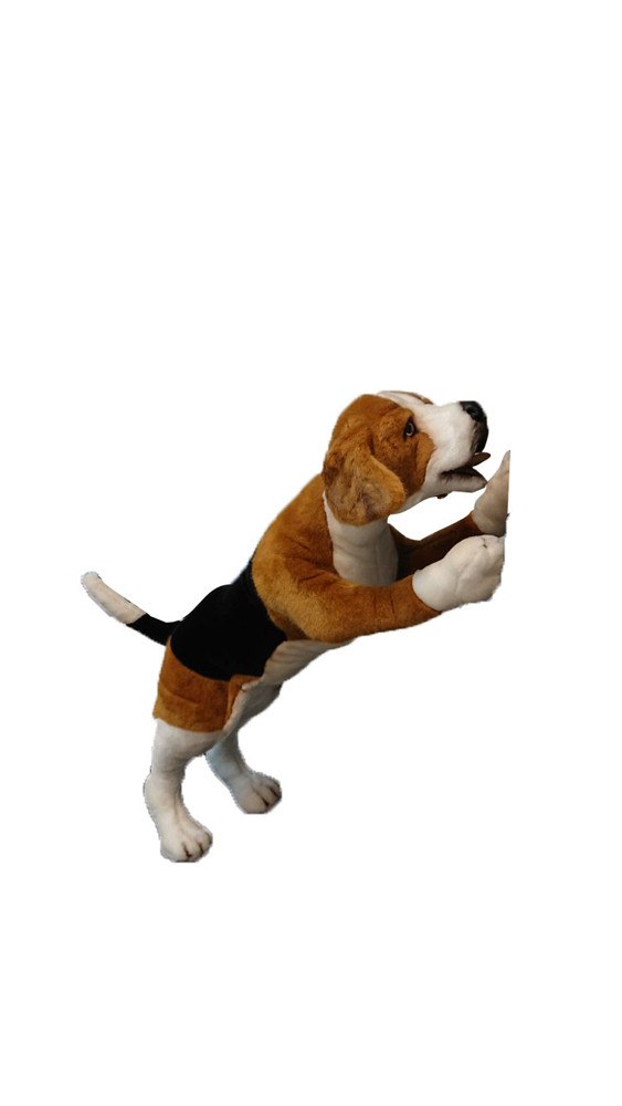 [18602] DOG BEAGLE