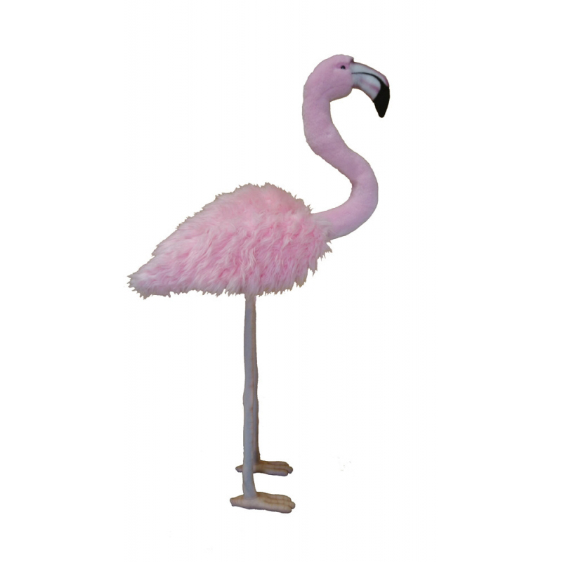 [17573] FLAMANT ROSE
