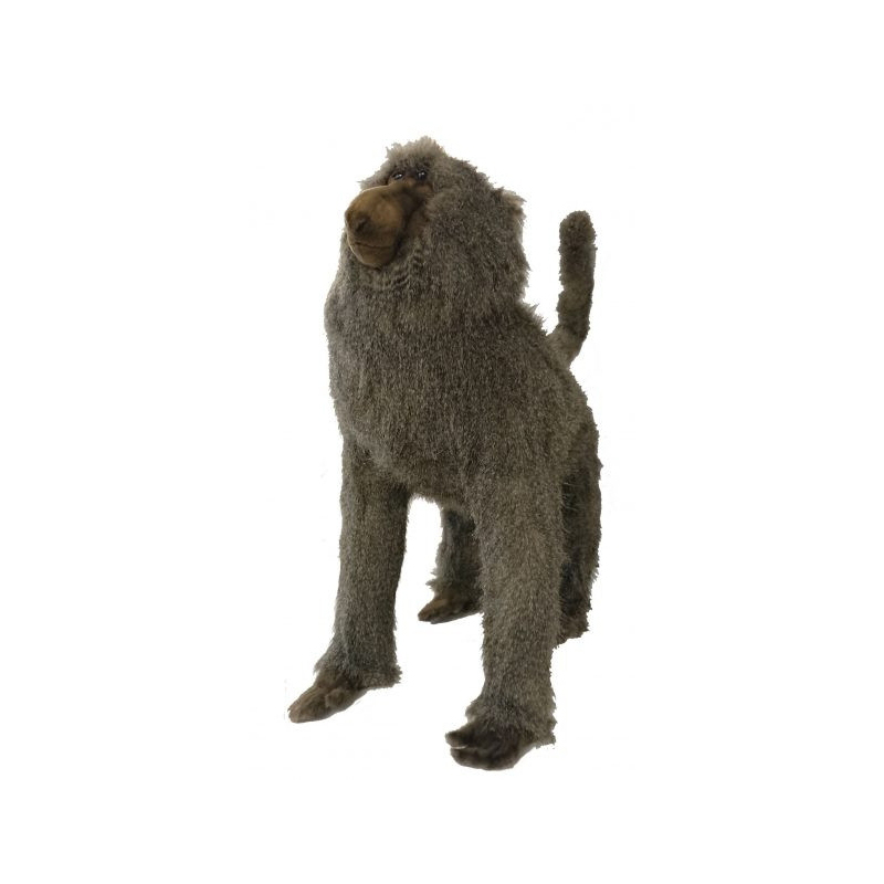 [19643] SINGE BABOUIN