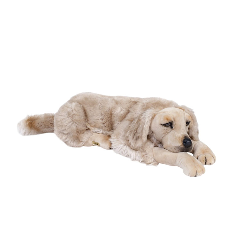 [20143] CHIEN GOLDEN RETRIEVER COUCHE