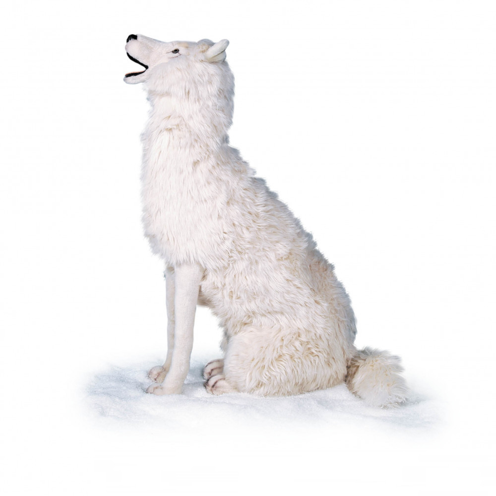 [26263L] LOUP BLANC HURLANT