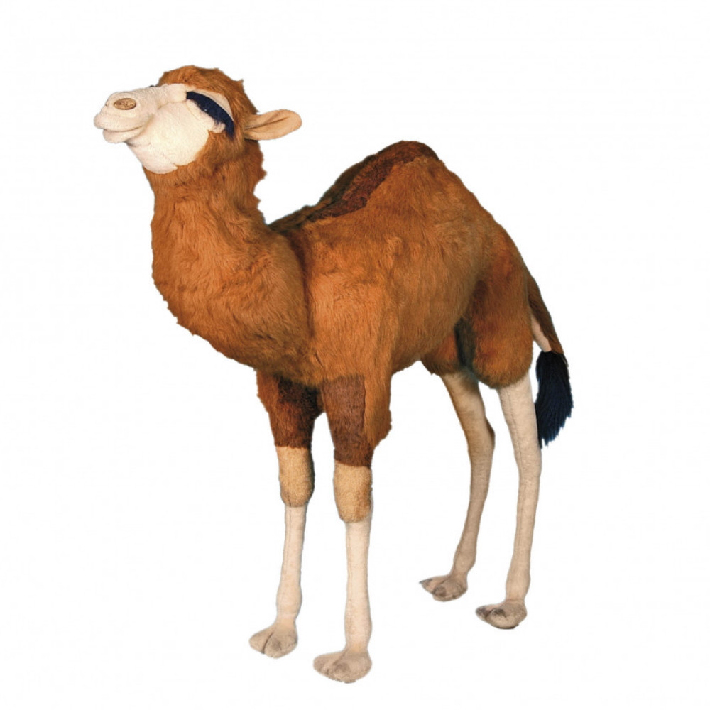 [26256L] SMALL DROMEDARY