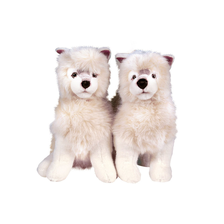 WHITE WOLF CUBS IN PAIRS