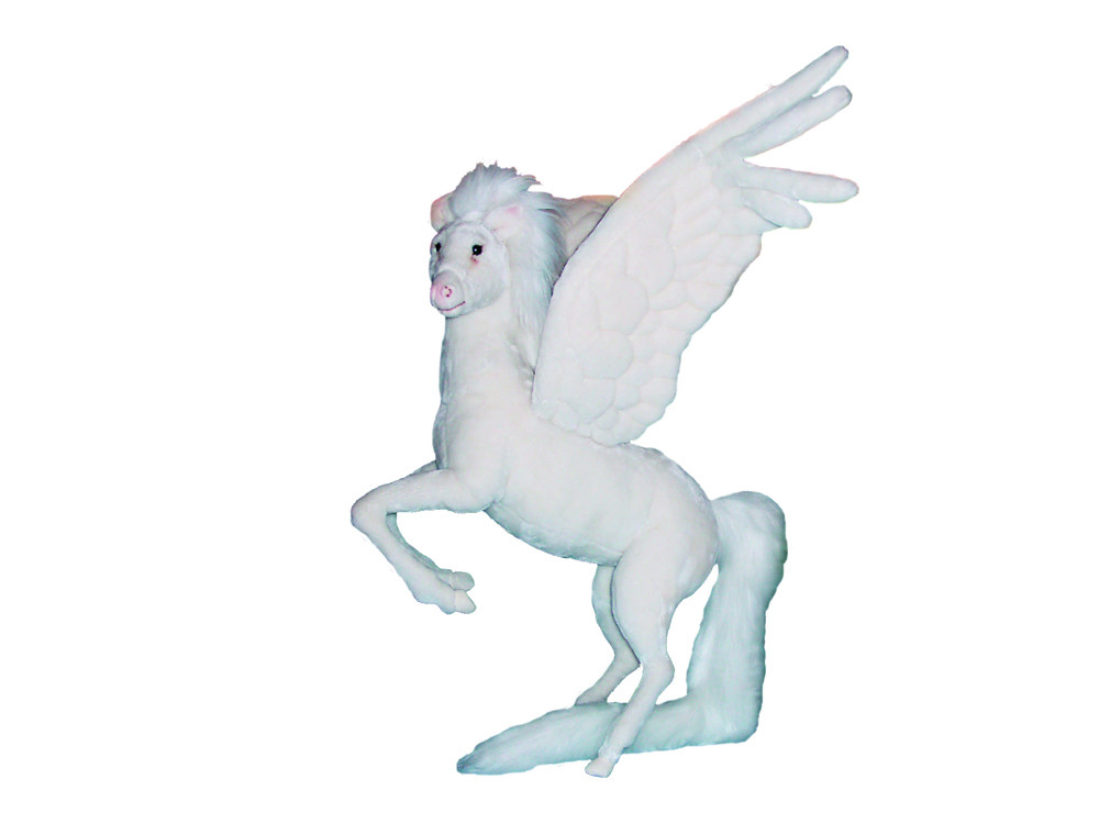[23190L] PEGASUS