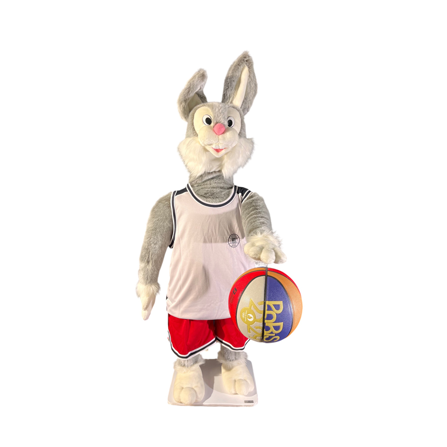 [20695JO] LAPIN BASKETBALL