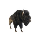 BISON 160 CM