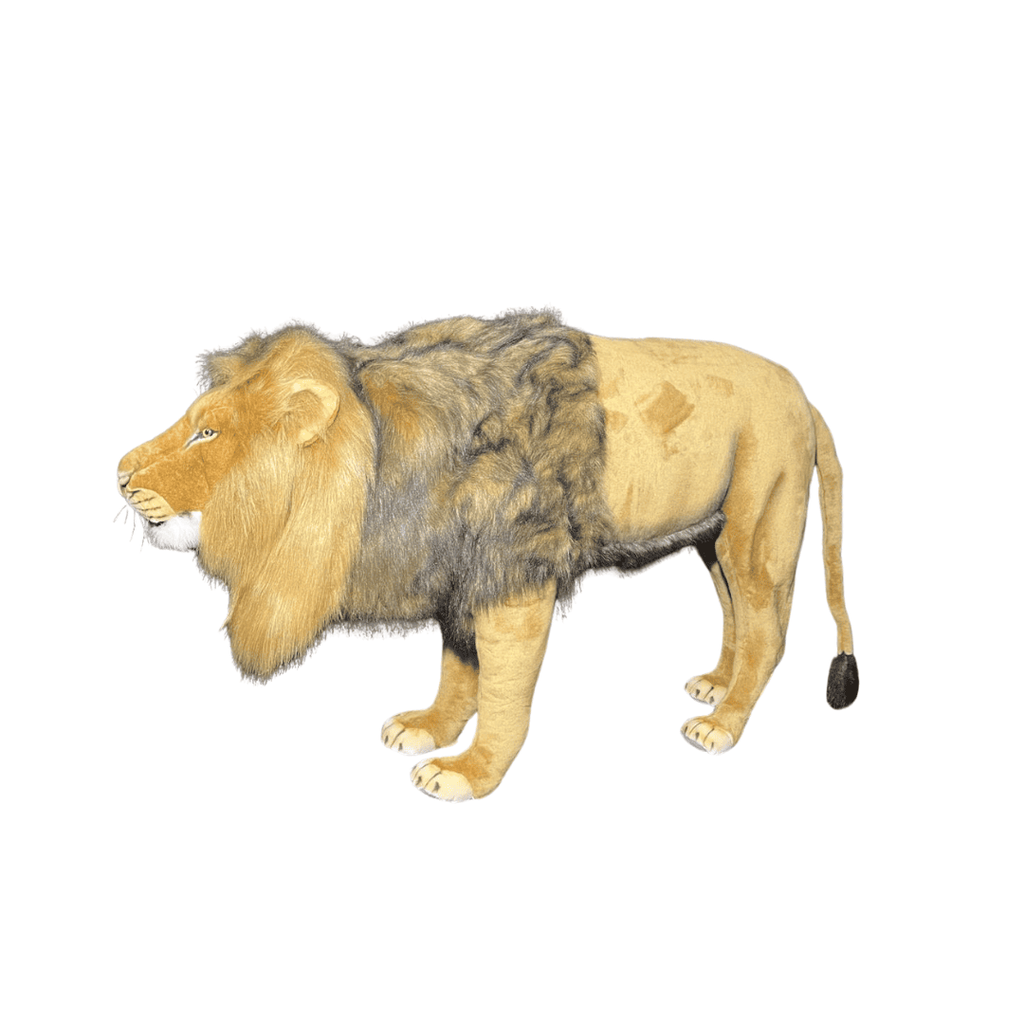 [22721] LION