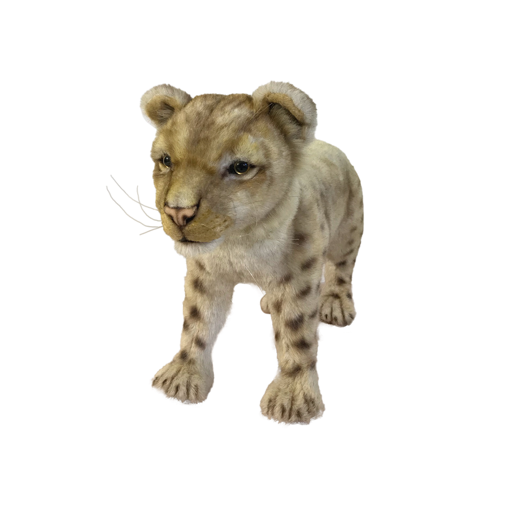 [22719] LIONCEAU 4 PATTES