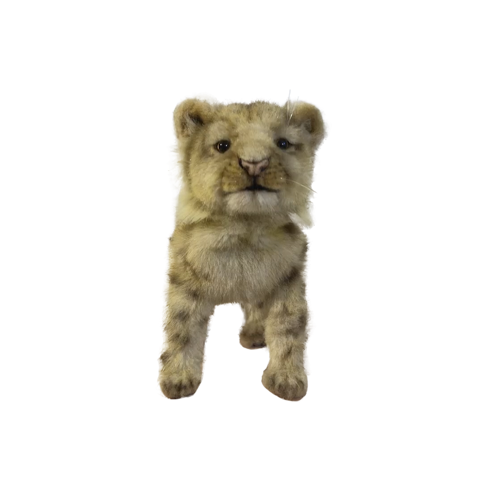 [22718] BABY CUB WITH FOUR PAWS
