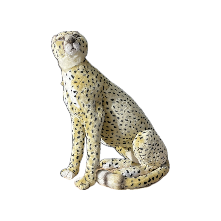 [24783L] SITTING CHEETAH