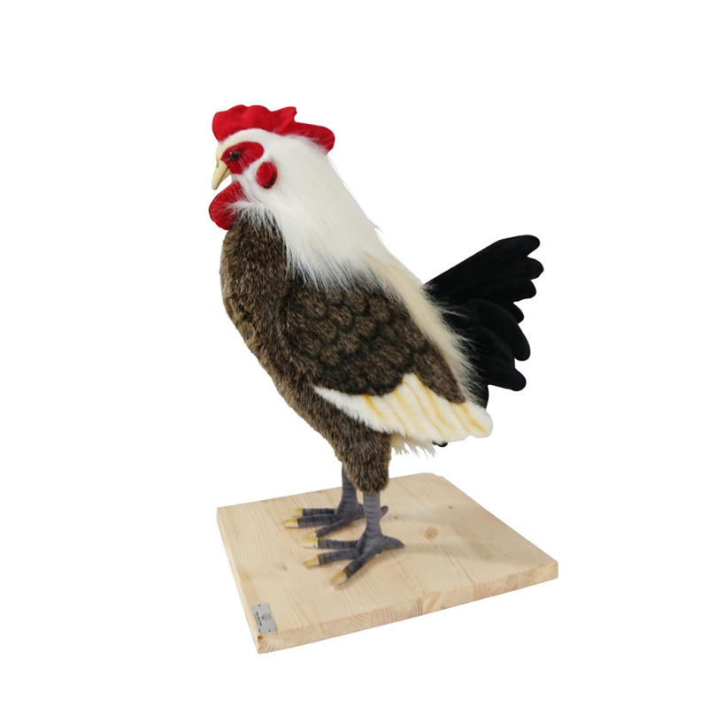 COQ