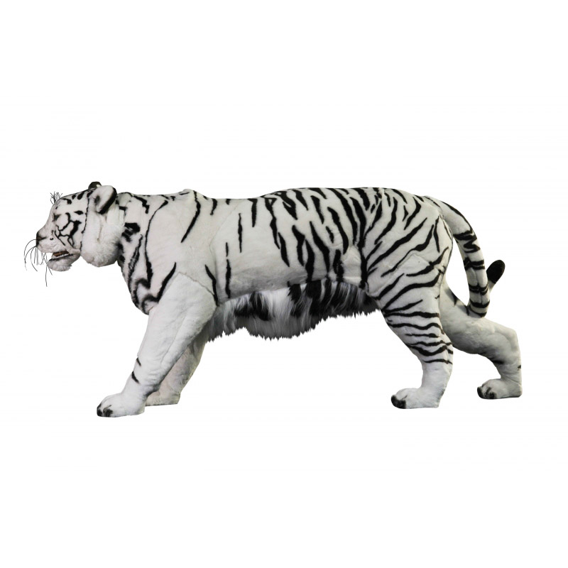 [20694] WHITE SIBERIAN TIGER