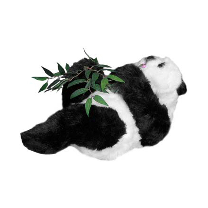 UN PETIT PANDA