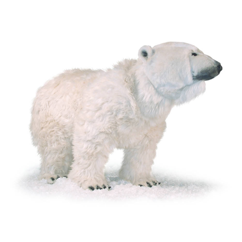 [50007L] OURS POLAIRE SUR SES QUATRE PATTES