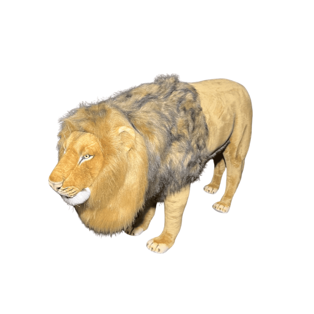 [22721L] LION