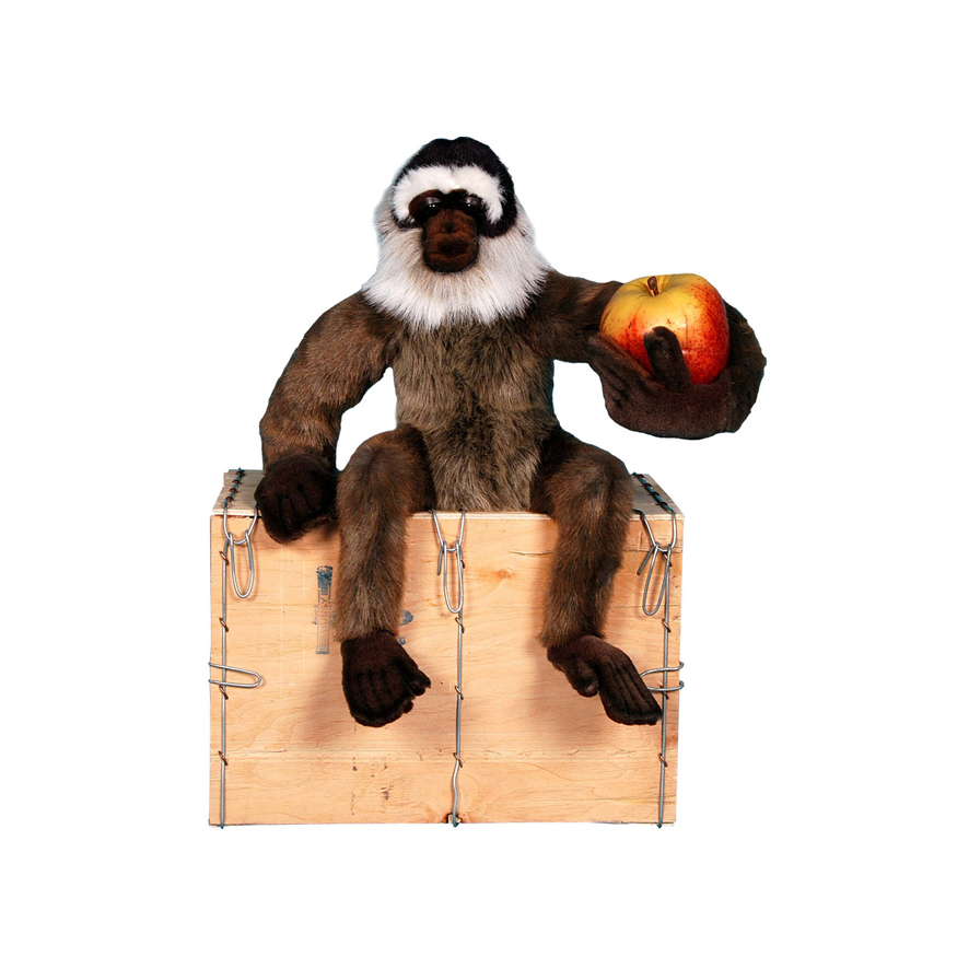 SINGE ASSIS POMME