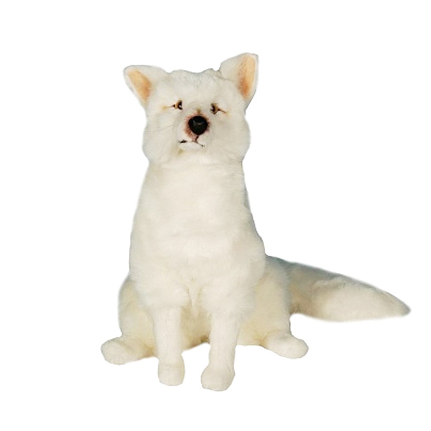 [28314L] RENARD BLANC ASSIS