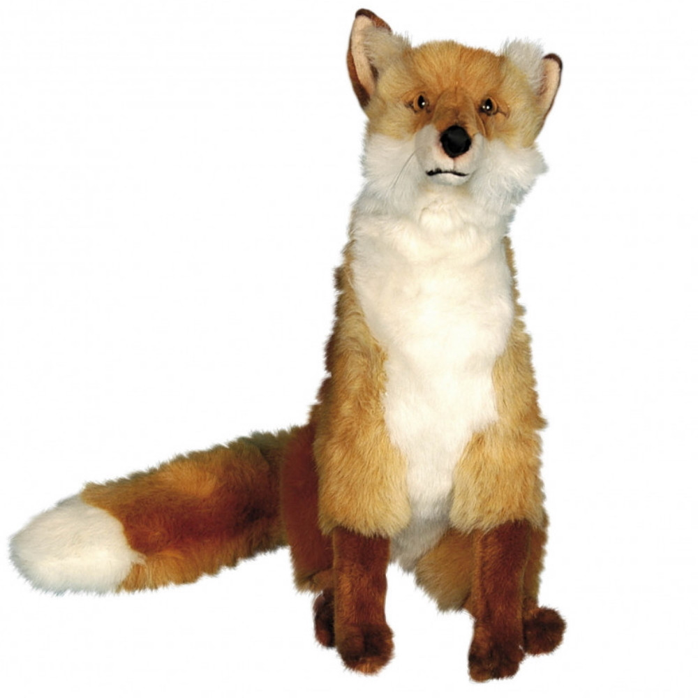 SITTING RED FOX