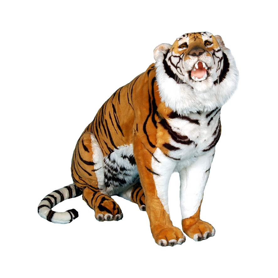 [27294L] TIGRE ASSIS