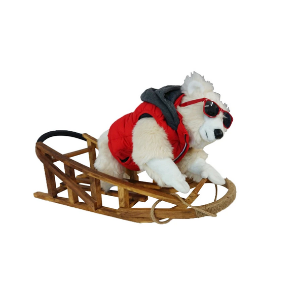 LEONARDO LUGE
