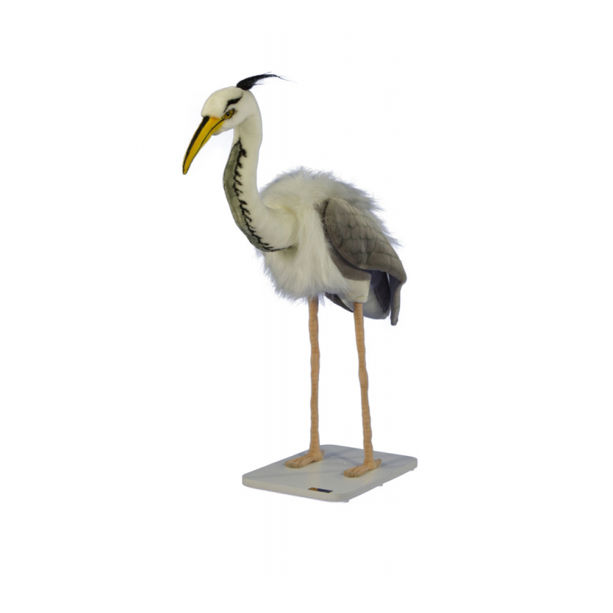 [12457L] HERON