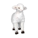AGNEAU DEBOUT