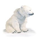 POLAR BEAR SITTING ON ITS 4 PAWS