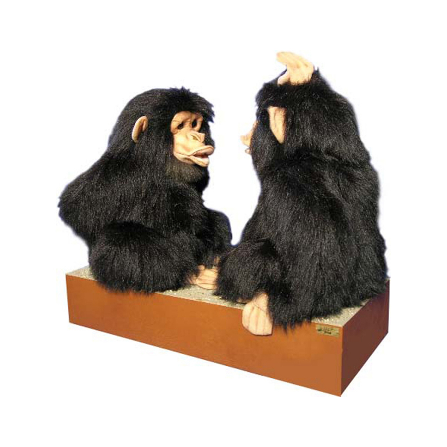 [23195L] SINGES CHIMPANZÉS