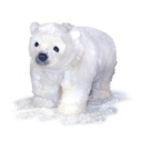 BABY POLAR BEAR ON ITS 4 PAWS