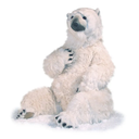OURS POLAIRE ASSIS